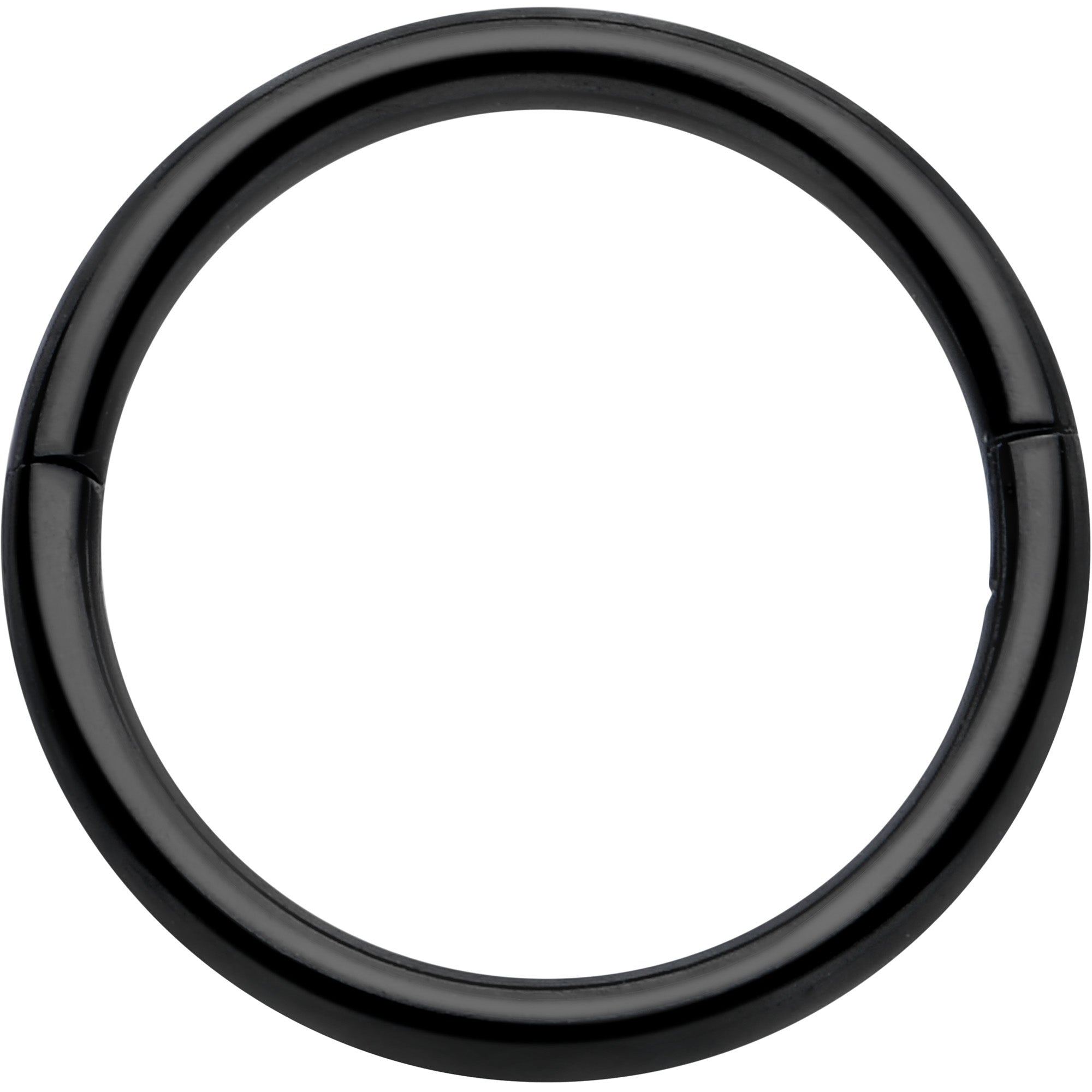 BodyCandy 20G Implant Grade Titanium Half Closure Hinged Segment Ring — in-use photo