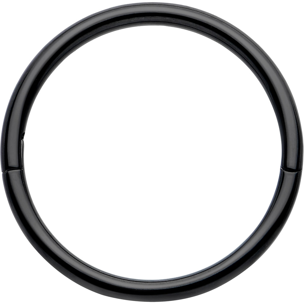 BodyCandy 20G Implant Grade Titanium Half Closure Hinged Segment Ring — color detail