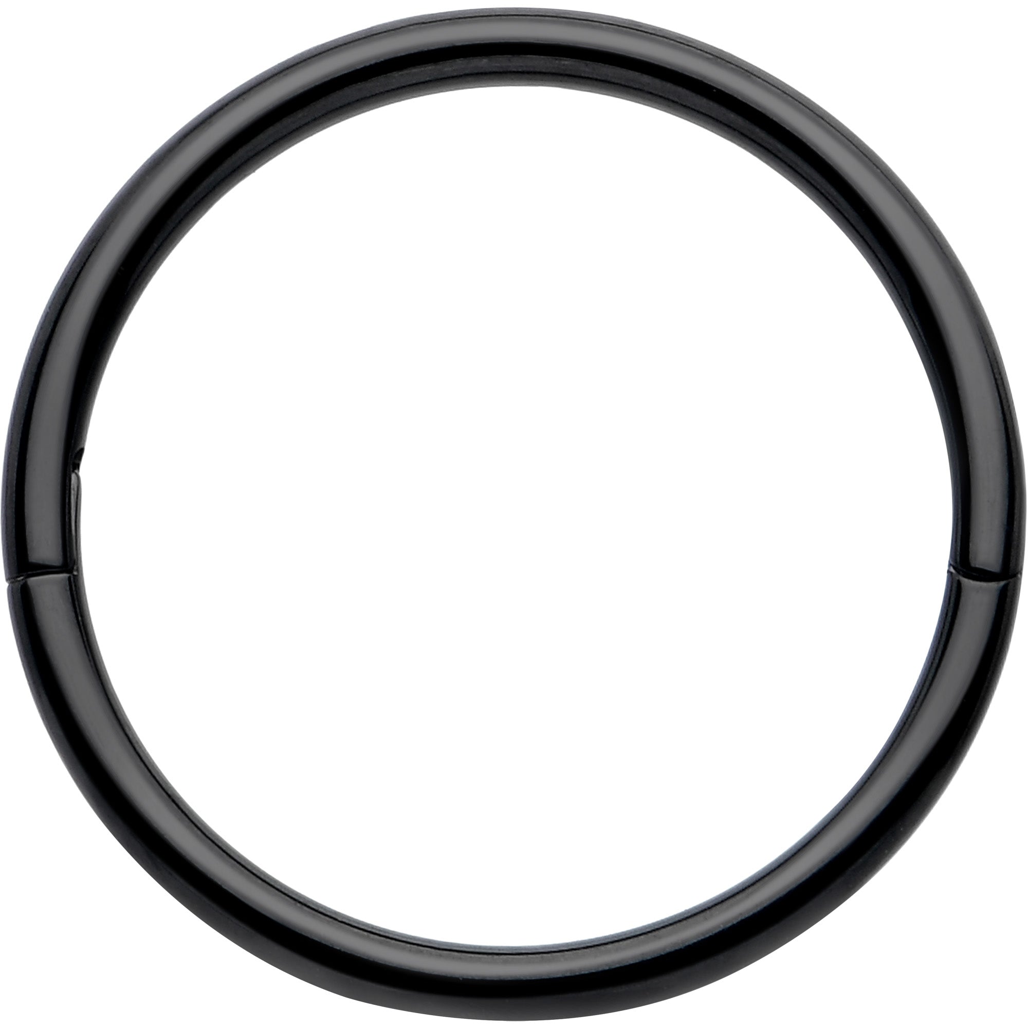 BodyCandy 20G Implant Grade Titanium Half Closure Hinged Segment Ring — color detail