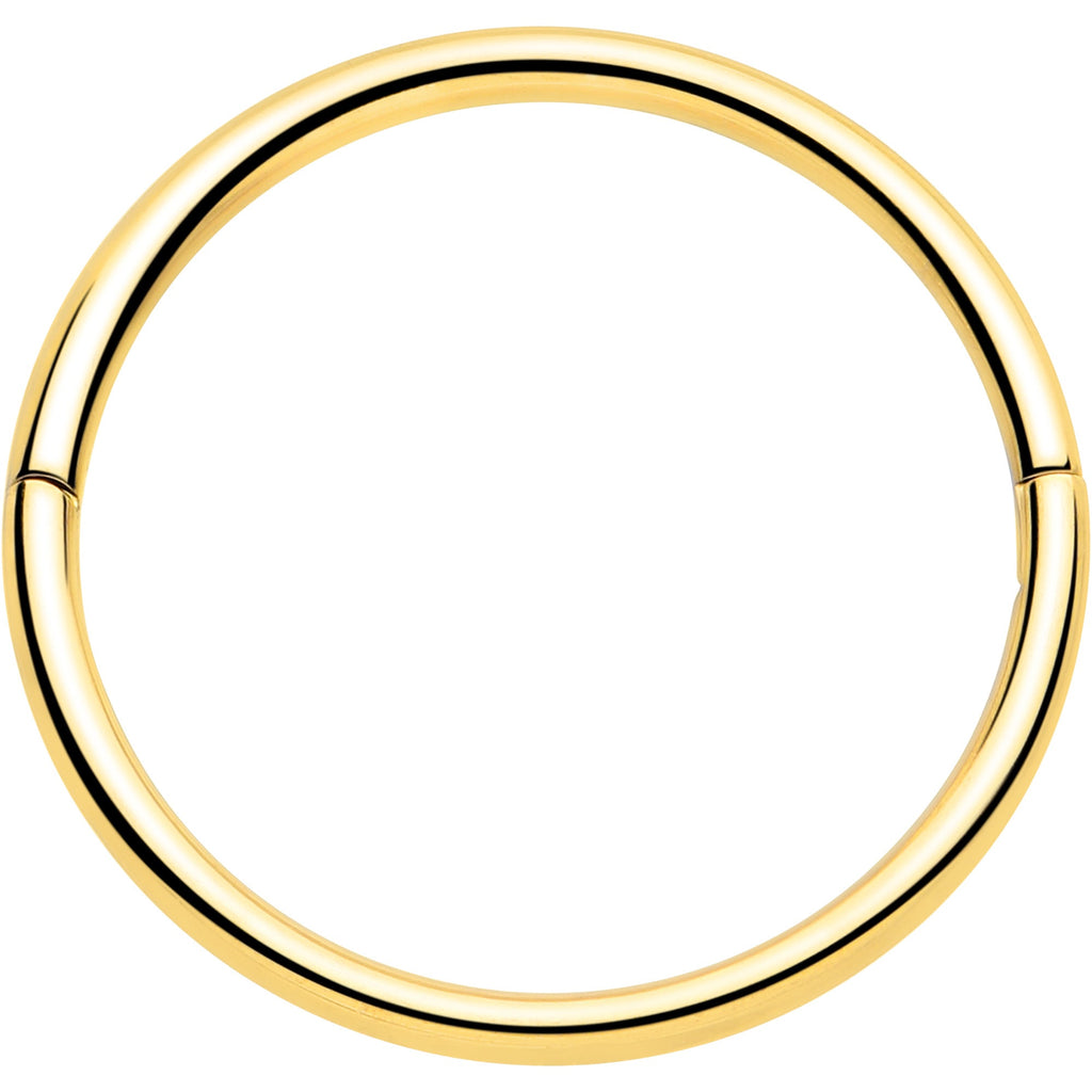 BodyCandy 20G Implant Grade Titanium Half Closure Hinged Segment Ring — packaging