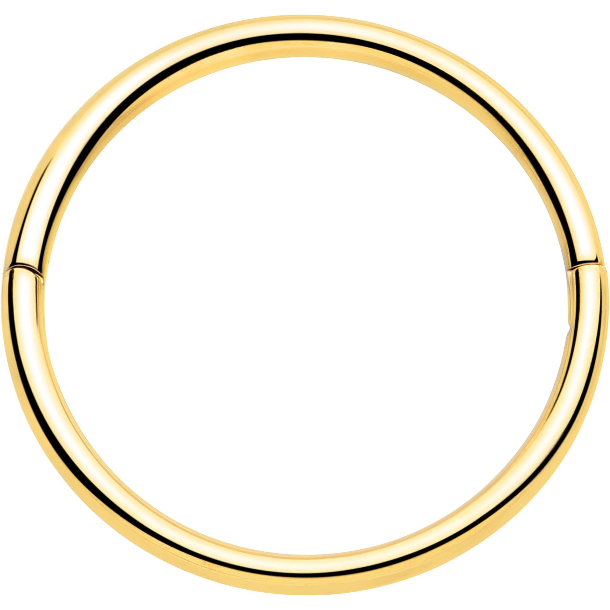 BodyCandy 20G Implant Grade Titanium Half Closure Hinged Segment Ring — packaging