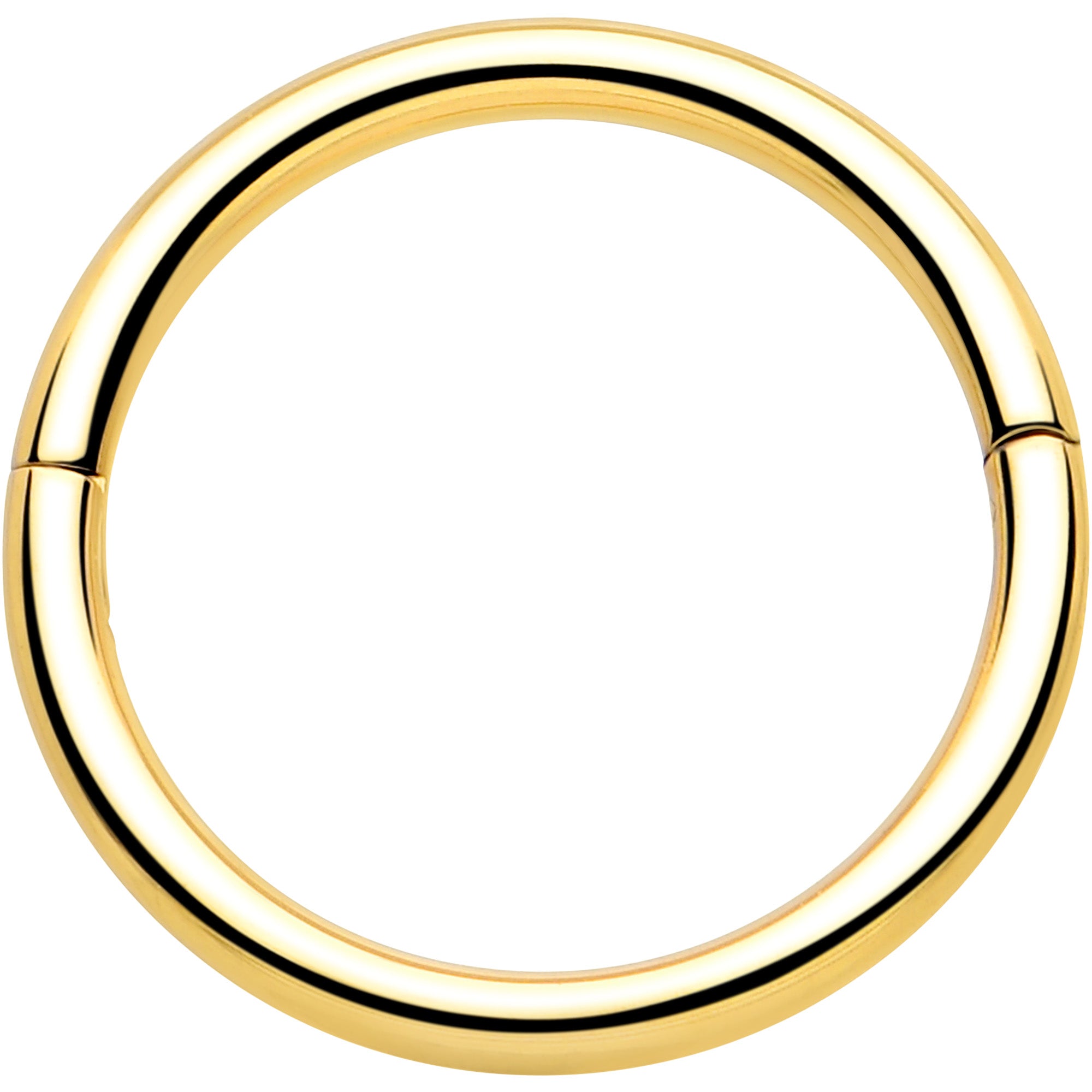 BodyCandy 20G Implant Grade Titanium Half Closure Hinged Segment Ring — fabric or material detail