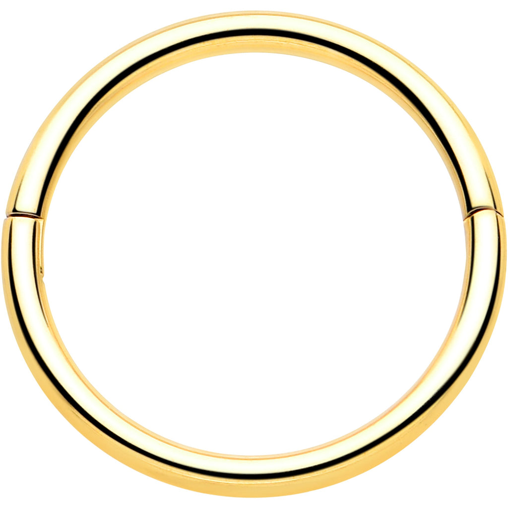BodyCandy 20G Implant Grade Titanium Half Closure Hinged Segment Ring — feature highlight