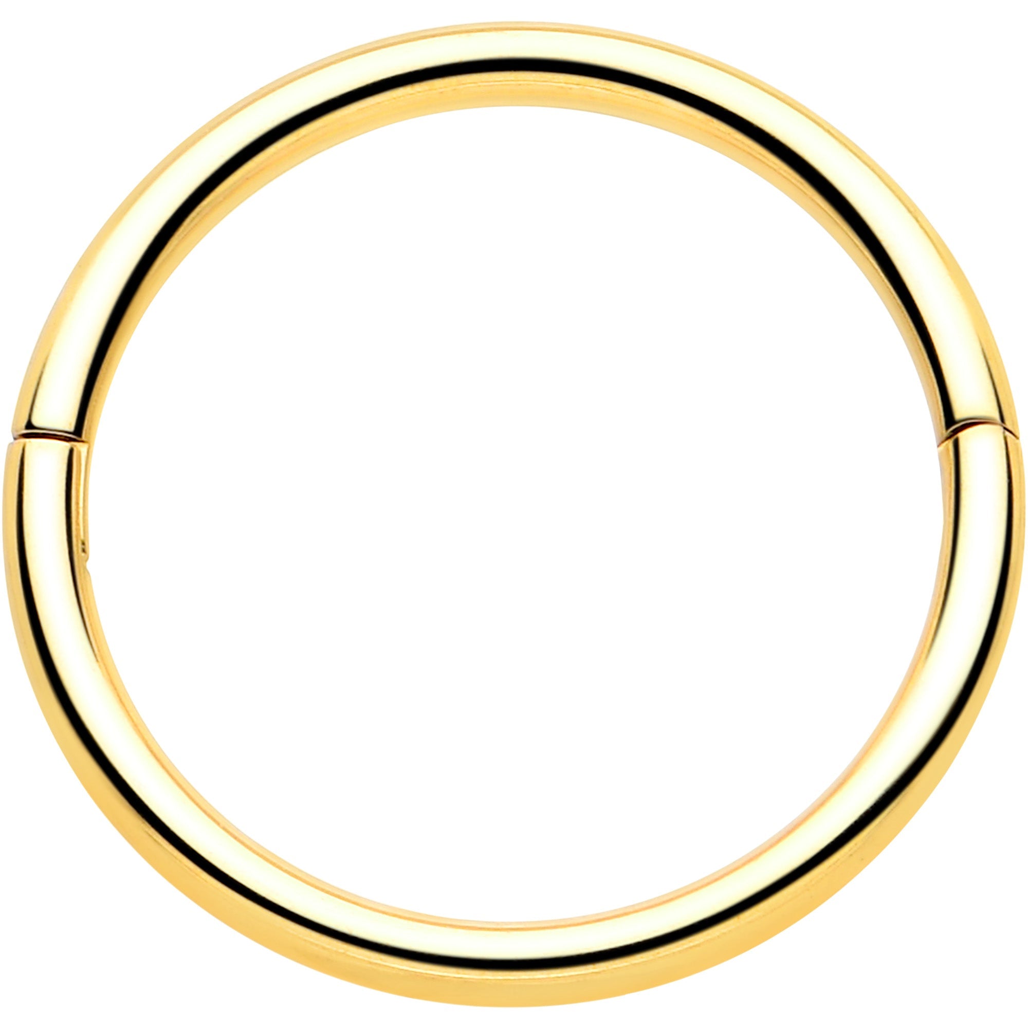 BodyCandy 20G Implant Grade Titanium Half Closure Hinged Segment Ring — feature highlight