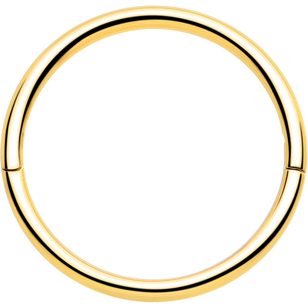 BodyCandy 20G Implant Grade Titanium Half Closure Hinged Segment Ring — product on model