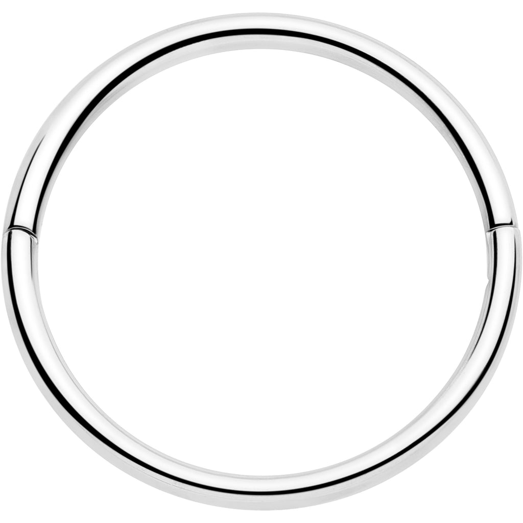 BodyCandy 20G Implant Grade Titanium Half Closure Hinged Segment Ring — flat-lay composition