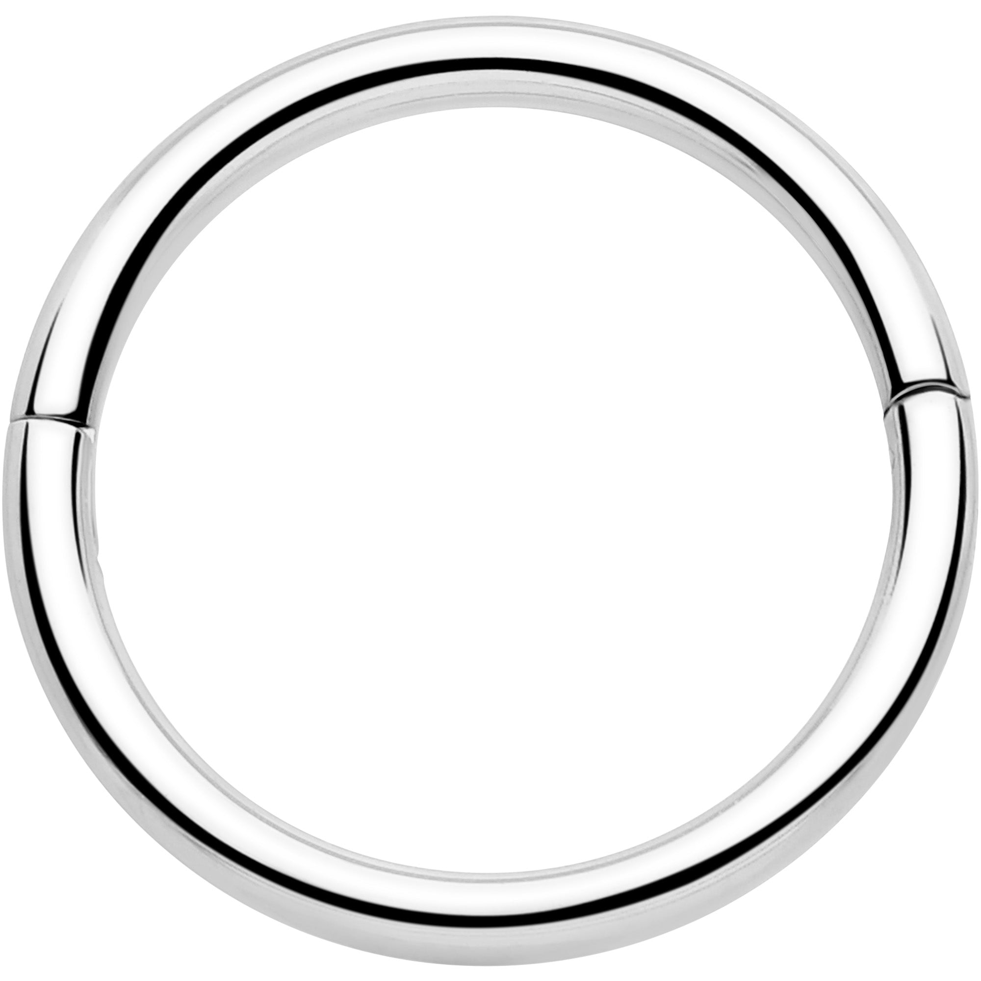 BodyCandy 20G Implant Grade Titanium Half Closure Hinged Segment Ring — detail close-up