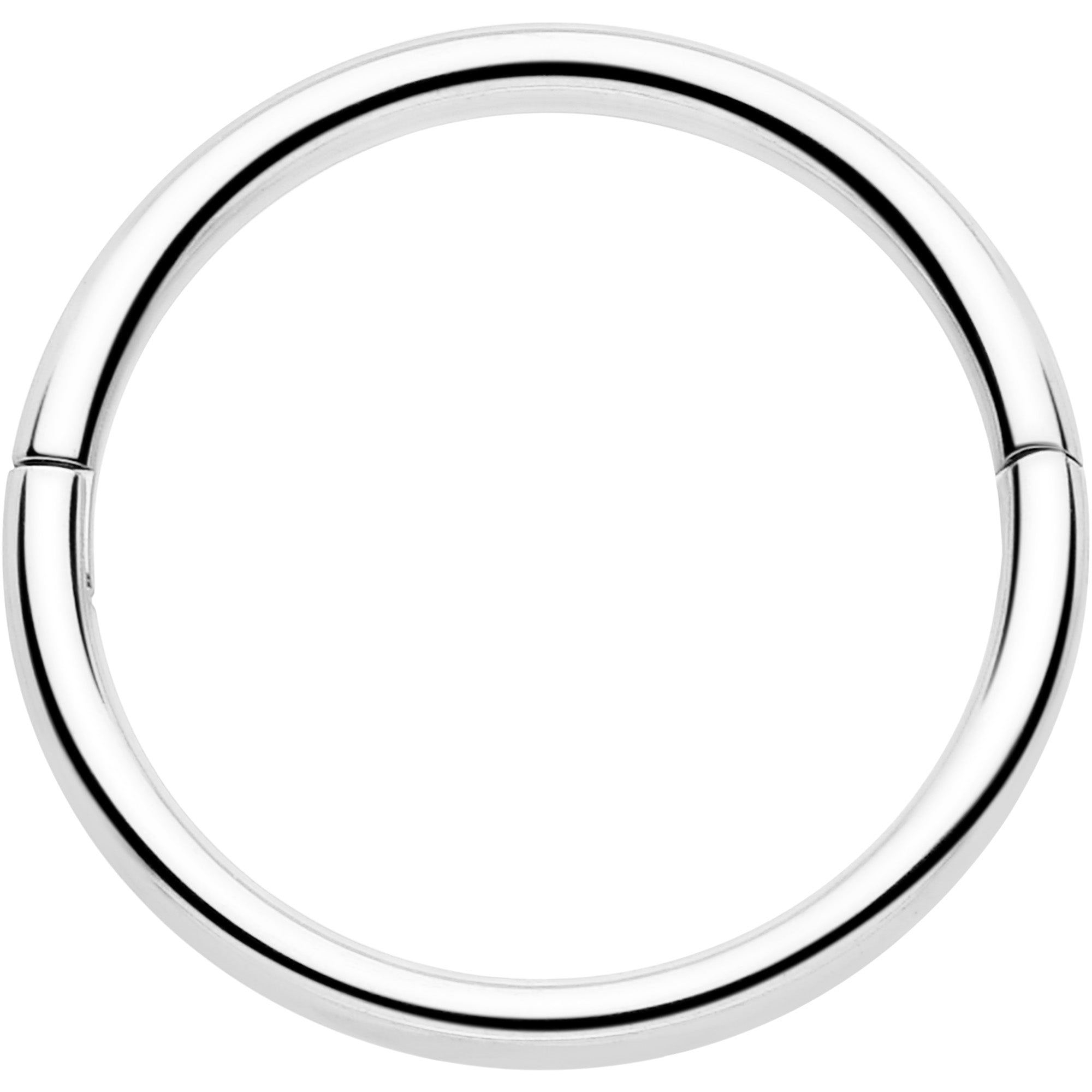 BodyCandy 20G Implant Grade Titanium Half Closure Hinged Segment Ring — lifestyle context