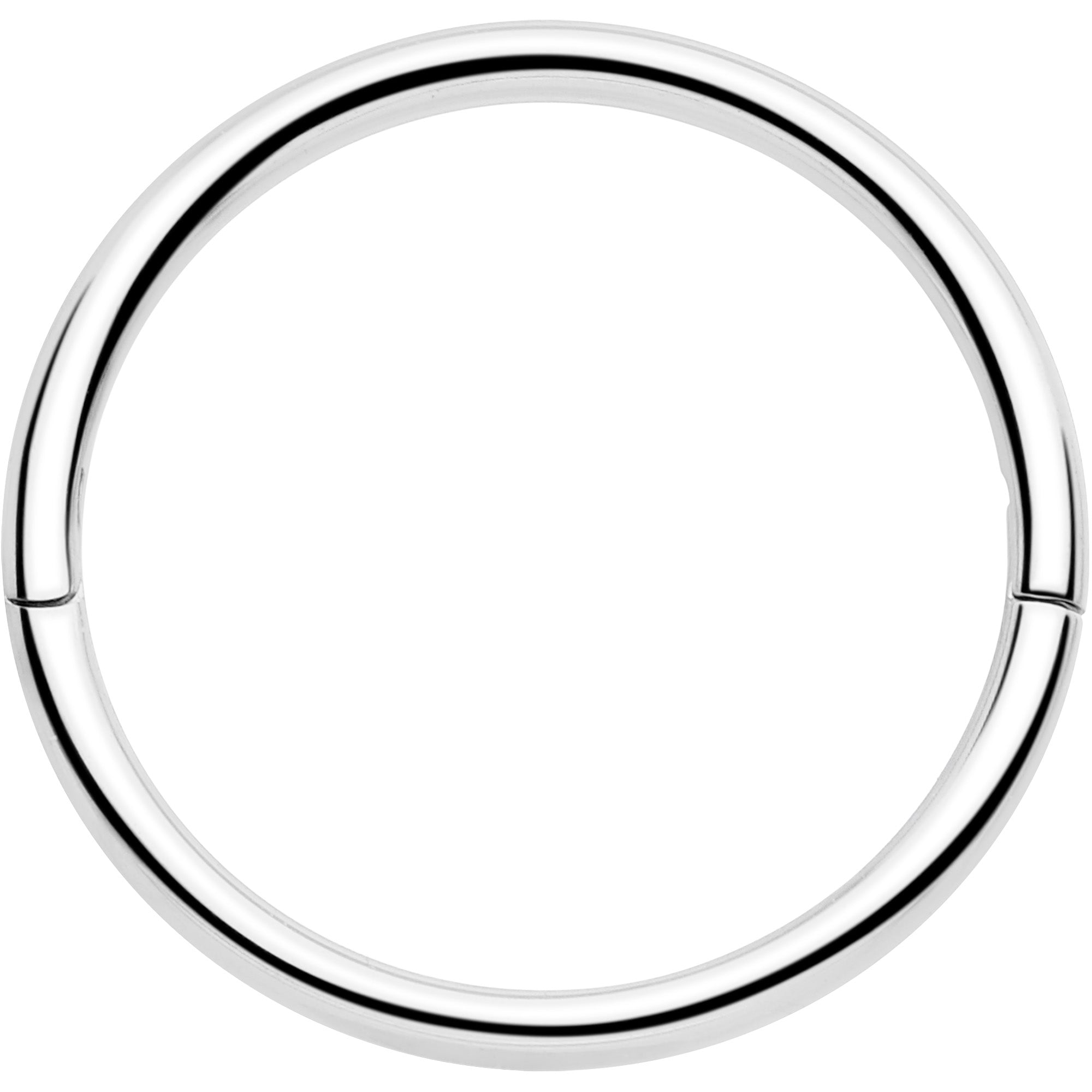 BodyCandy 20G Implant Grade Titanium Half Closure Hinged Segment Ring — side view