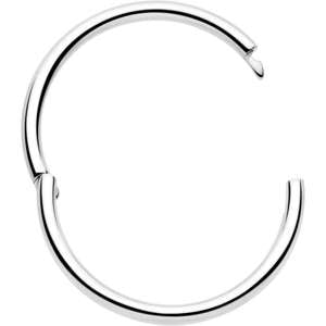 BodyCandy 20G Implant Grade Titanium Half Closure Hinged Segment Ring — detail close-up