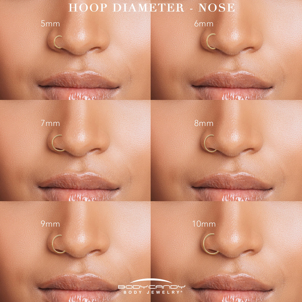 BodyCandy Single Row Micro Gem Implant Grade Titanium Hinged Double Hoop Nose Ring — flat-lay composition