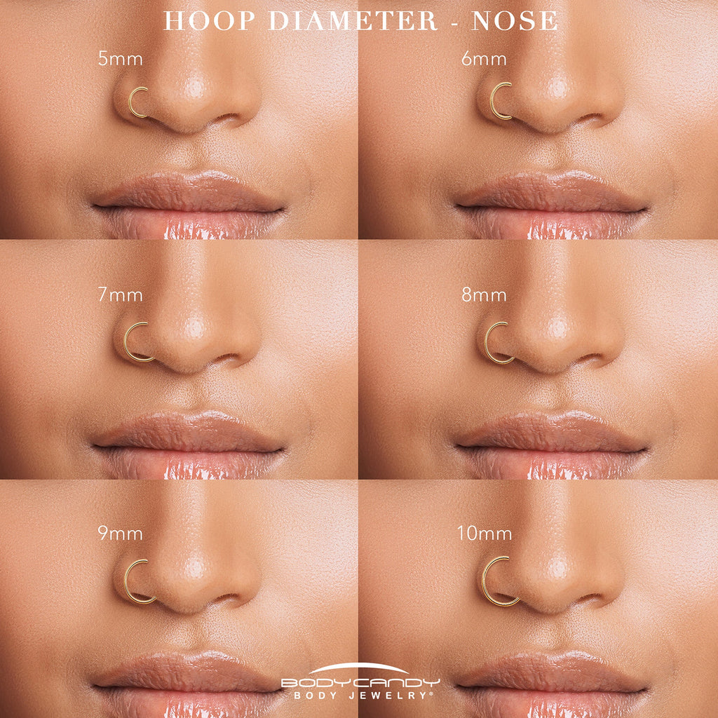 BodyCandy 18G Double Row Micro Gem Implant Grade Titanium Hinged Double Hoop Nose Ring — side view