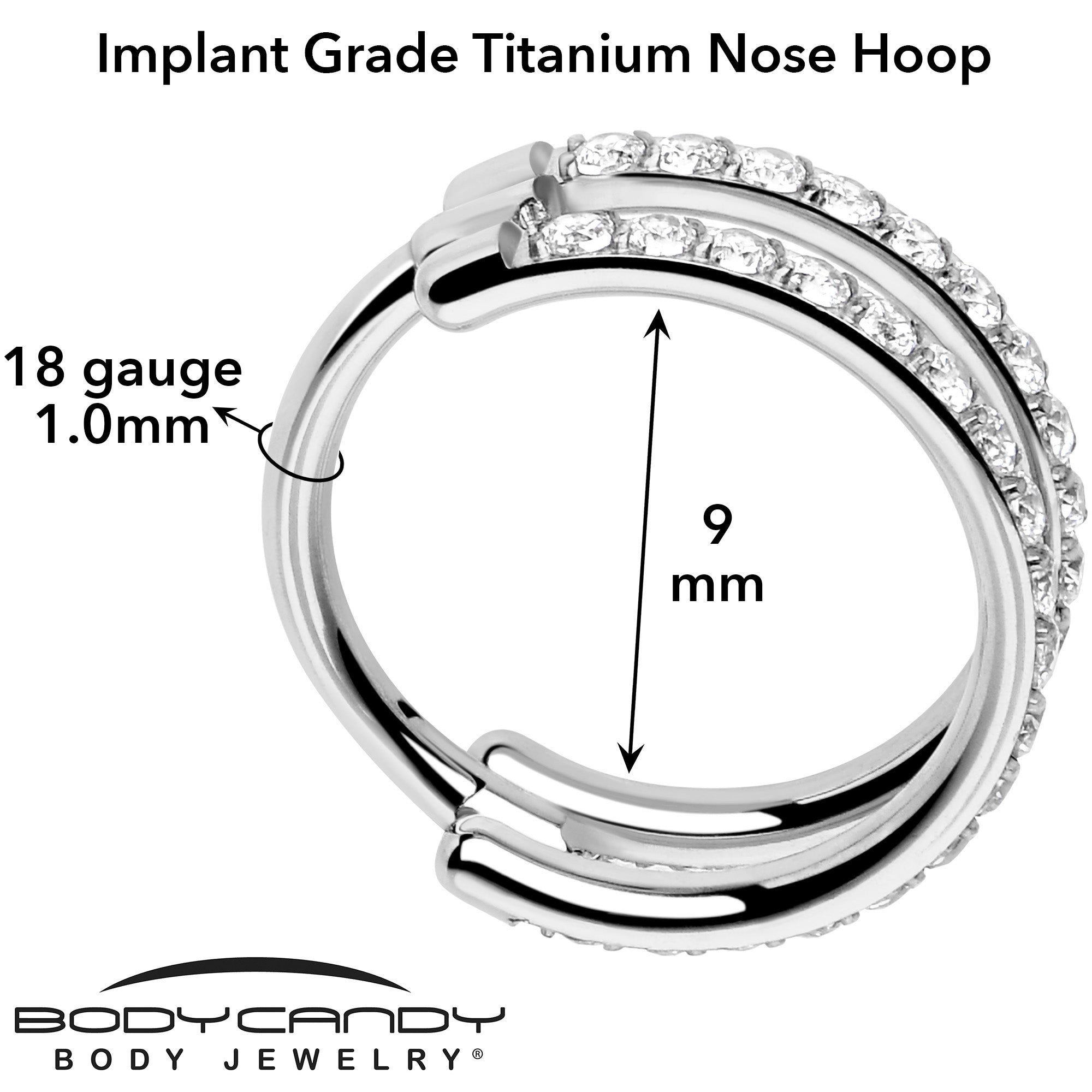 BodyCandy 18G Double Row Micro Gem Implant Grade Titanium Hinged Double Hoop Nose Ring — in-use photo