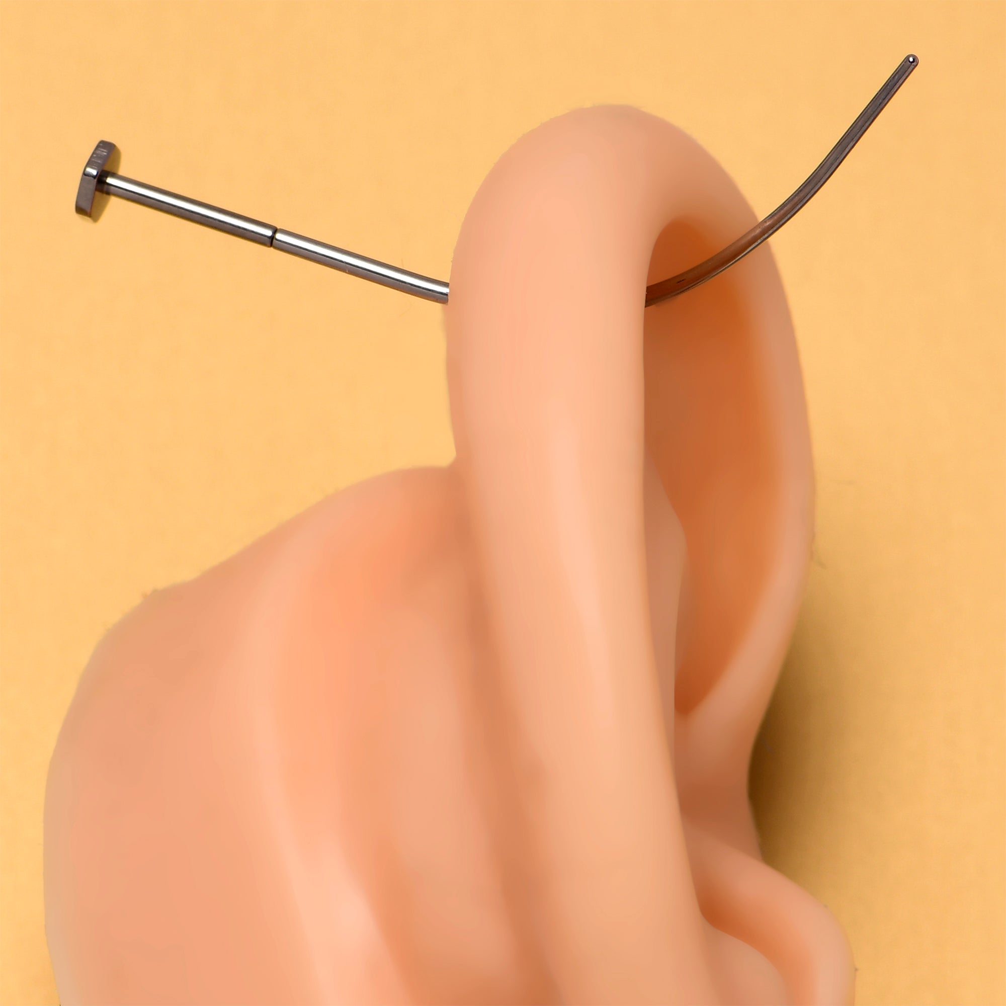 BodyCandy Stainless Steel Curved Insertion Tool, Threadless Insertion Pin Taper — detail close-up