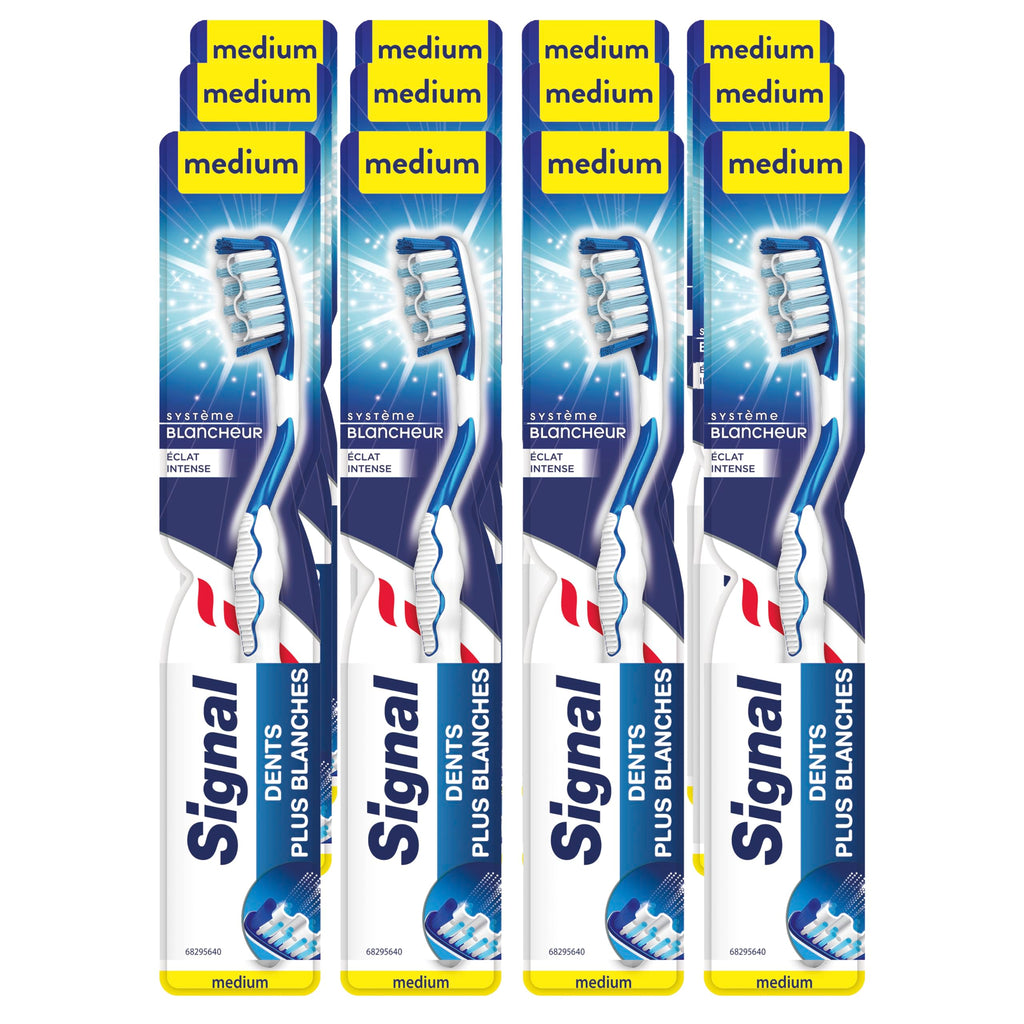 Signal White Now Toothbrush, 1+1 Free Medium Bristle Oral Hygiene for Whiter Teeth - Signal