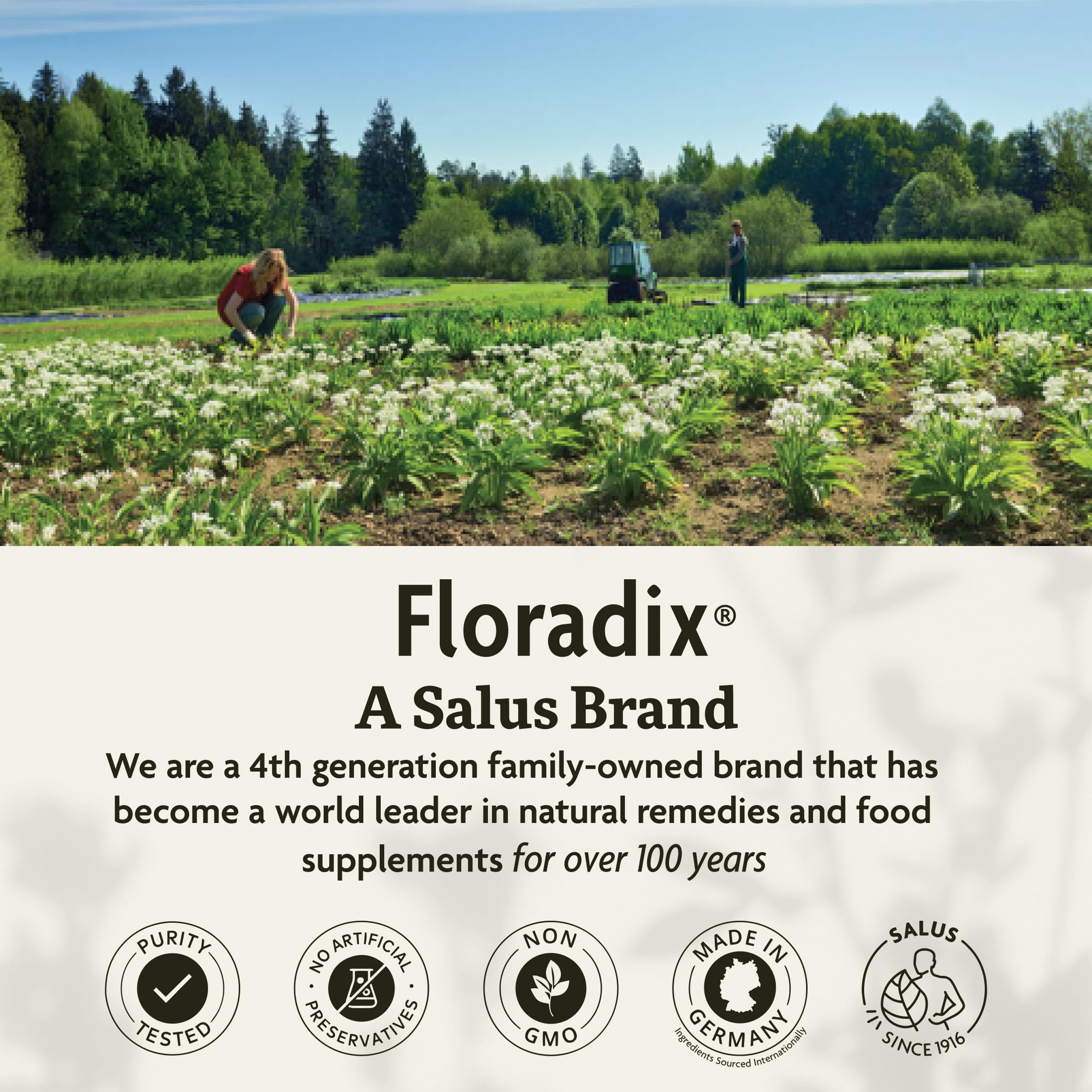 Floradix Liquid Dietary Supplement - Natural Iron & Vitamin Supplement for Adults & Children, Gluten-Free, 8.45 fl oz