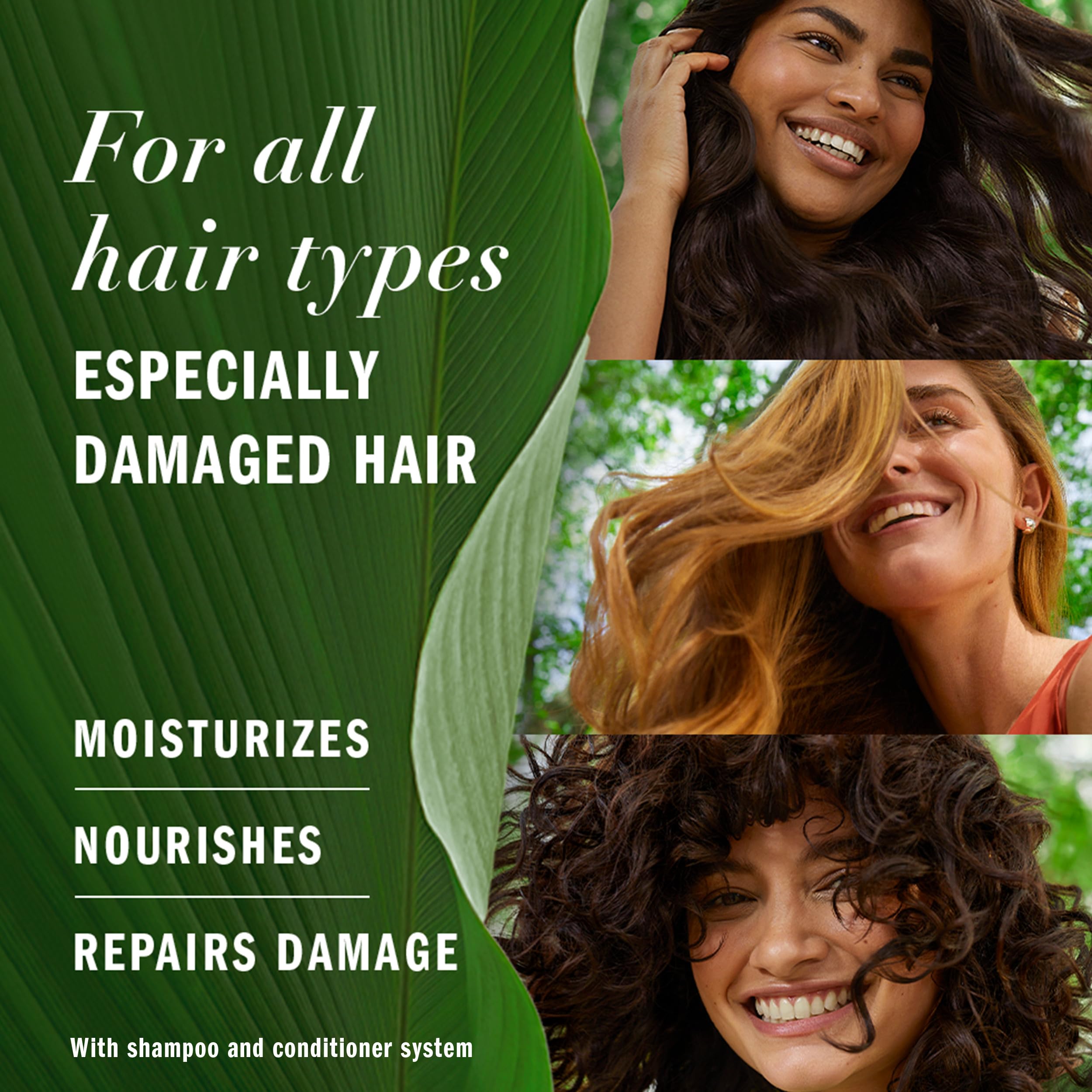 Herbal Essences Repairing Argan Oil Hair Conditioner 8.5oz | Moisturizing Formula