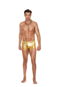 Love Spark Cove | Intimate Apparel, Pleasure Shop & Free Shipping Men's Lam? Boxer Brief — main product shot