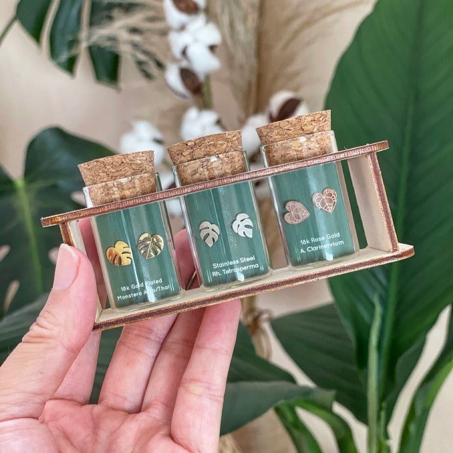 Custom Etched Propagation Stand + 3 Set Tiny Houseplant Earring Studs – Plant Dosage LLC