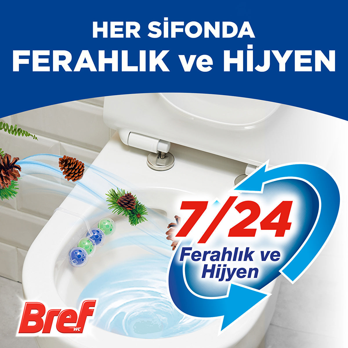 Bref Toilet Block Duopack Pine - Effective Cleaning | 2 Pack