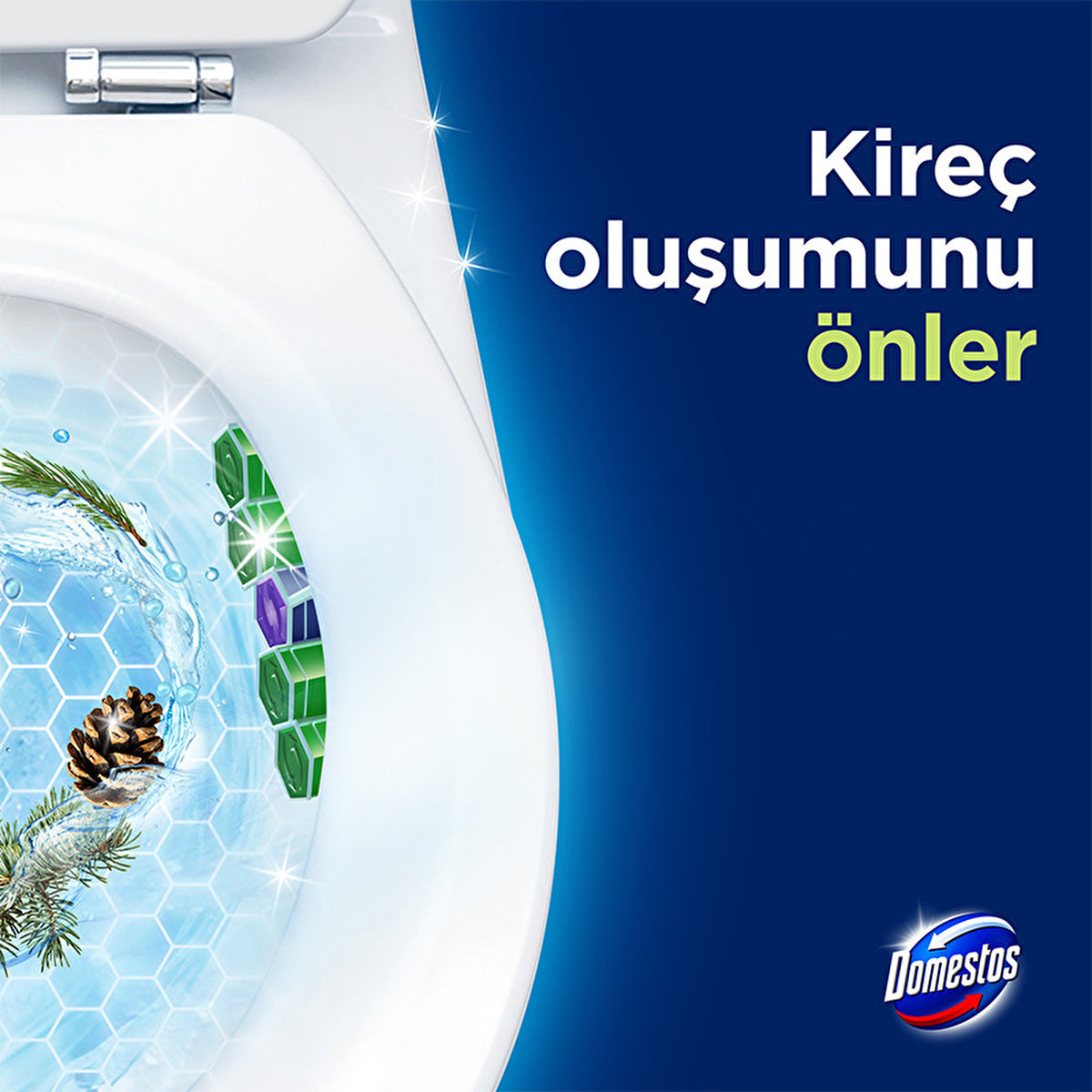 Domestos Toilet Block Pine Forest 100g - Maximum Freshness and Hygiene
