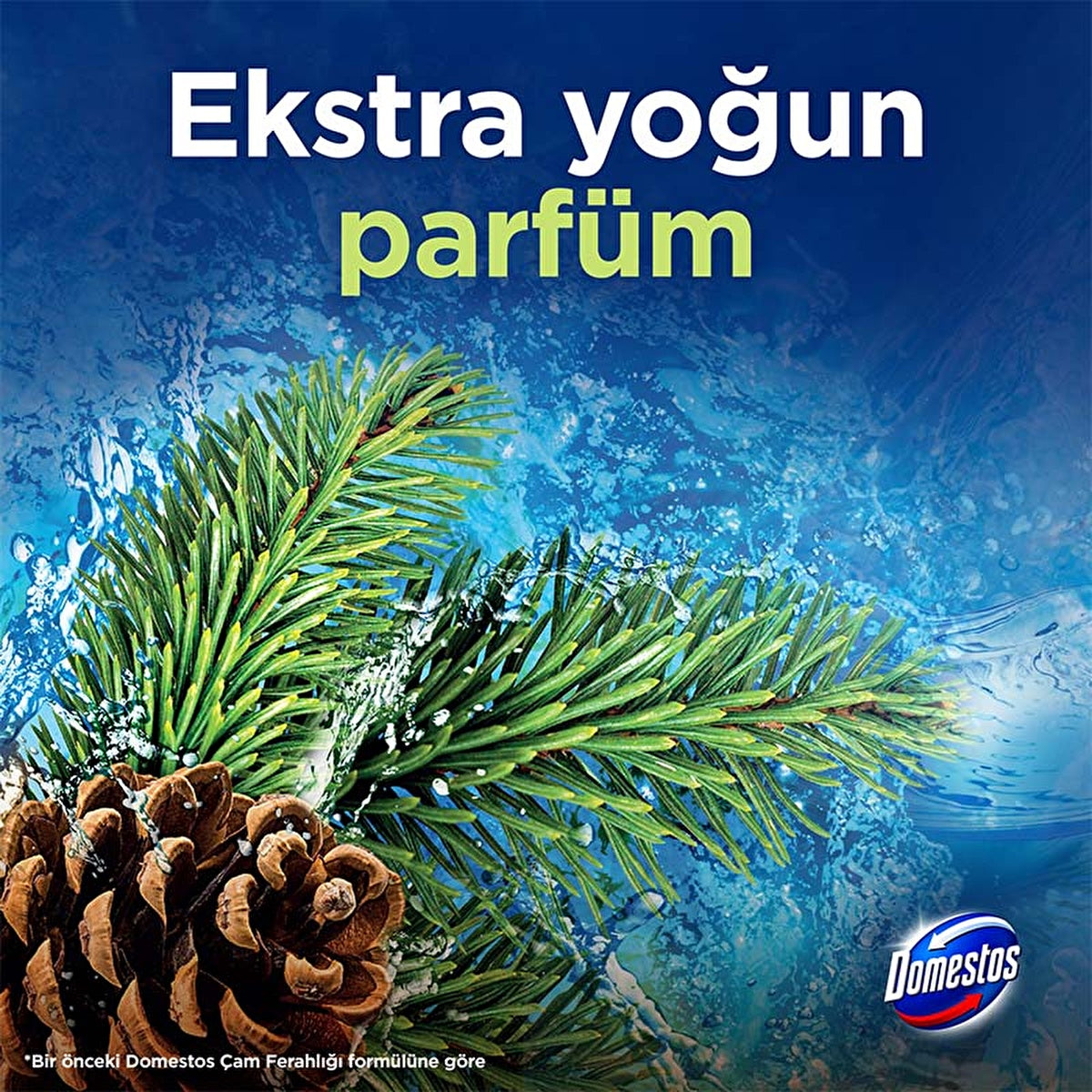 Domestos Toilet Block Pine Forest 100g - Maximum Freshness and Hygiene