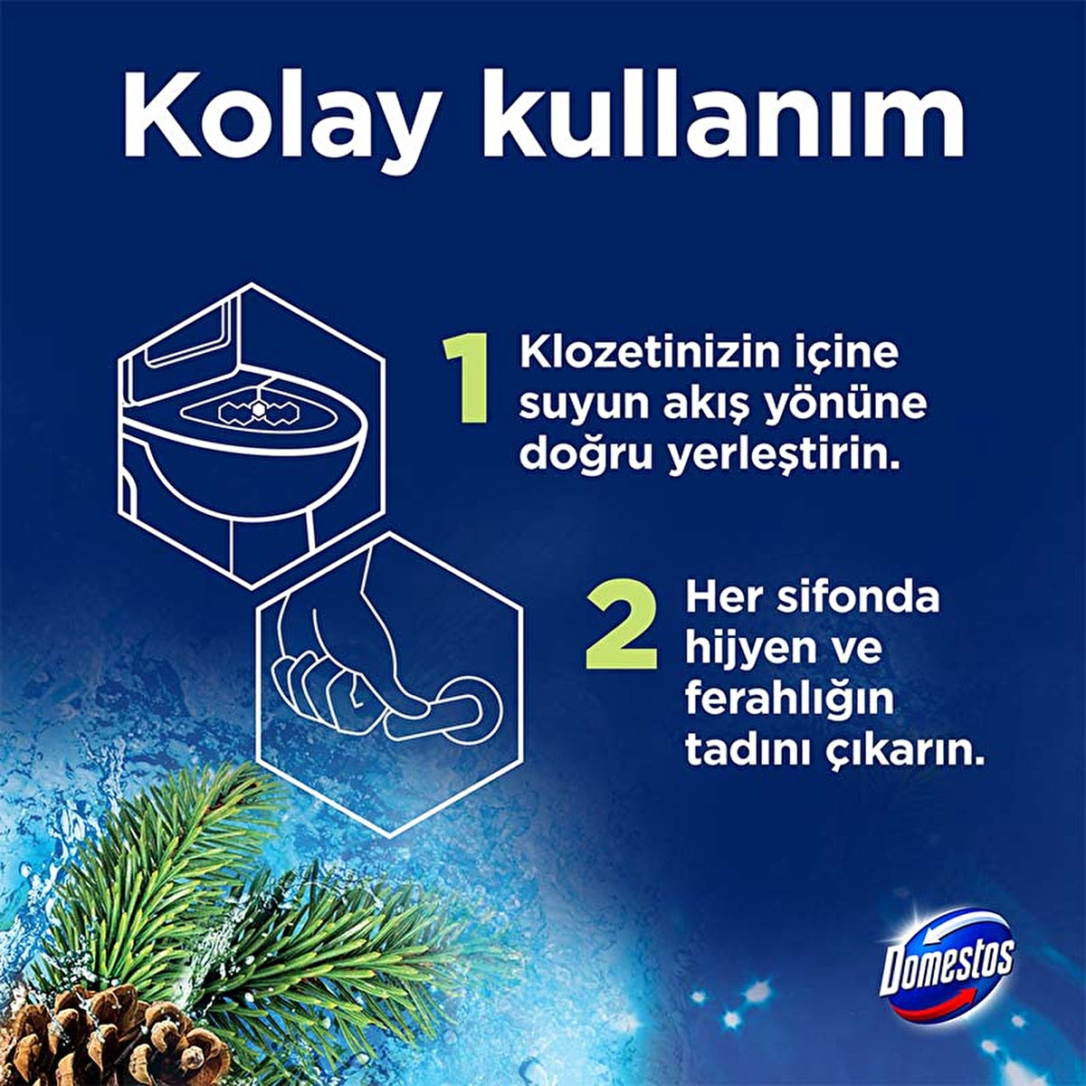 Domestos Toilet Block Pine Forest 100g - Maximum Freshness and Hygiene
