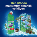 Domestos Toilet Block Pine Forest 100g - Maximum Freshness and Hygiene