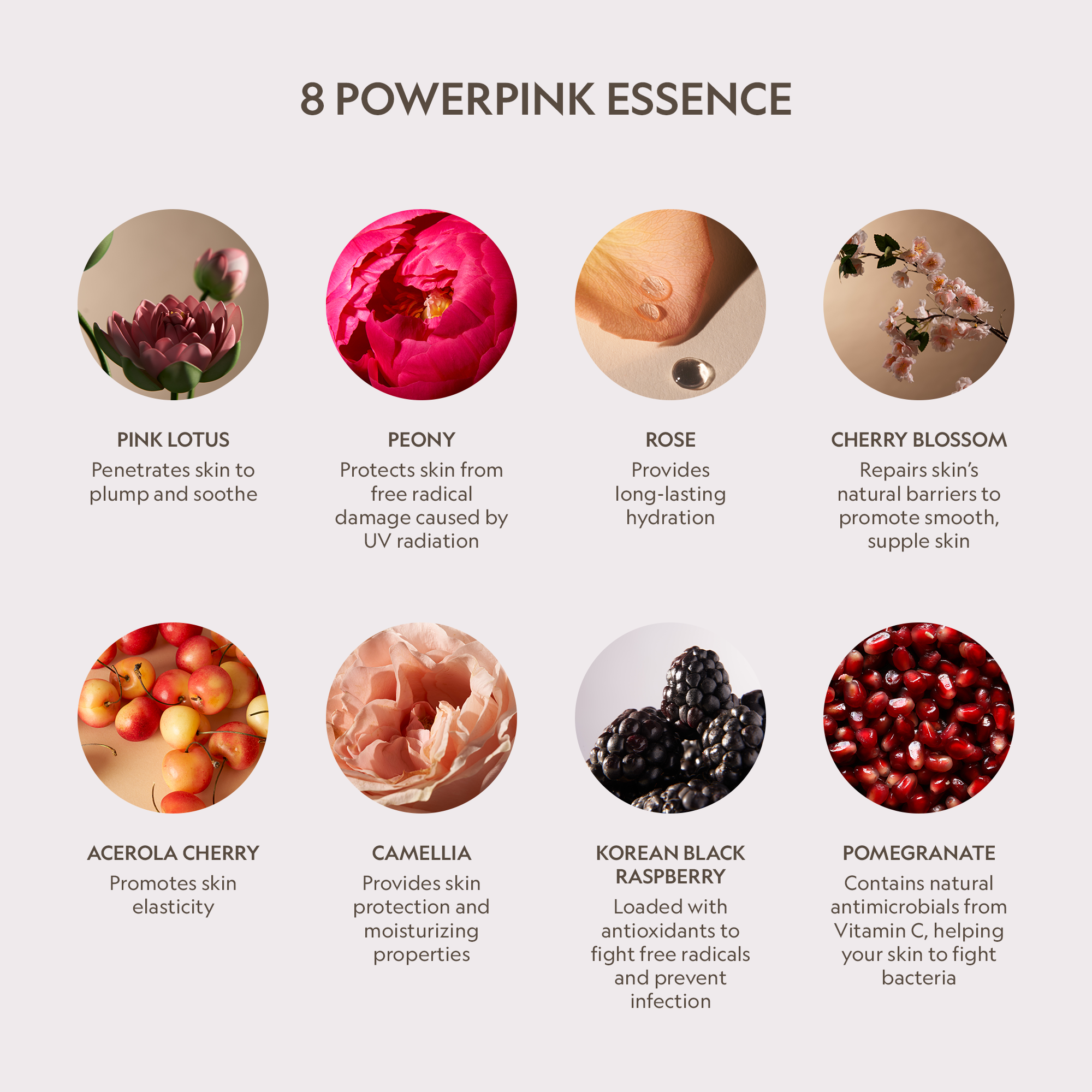 Pink Lotus Peptide Renewal Face Cream by YENSA — detail shot 3
