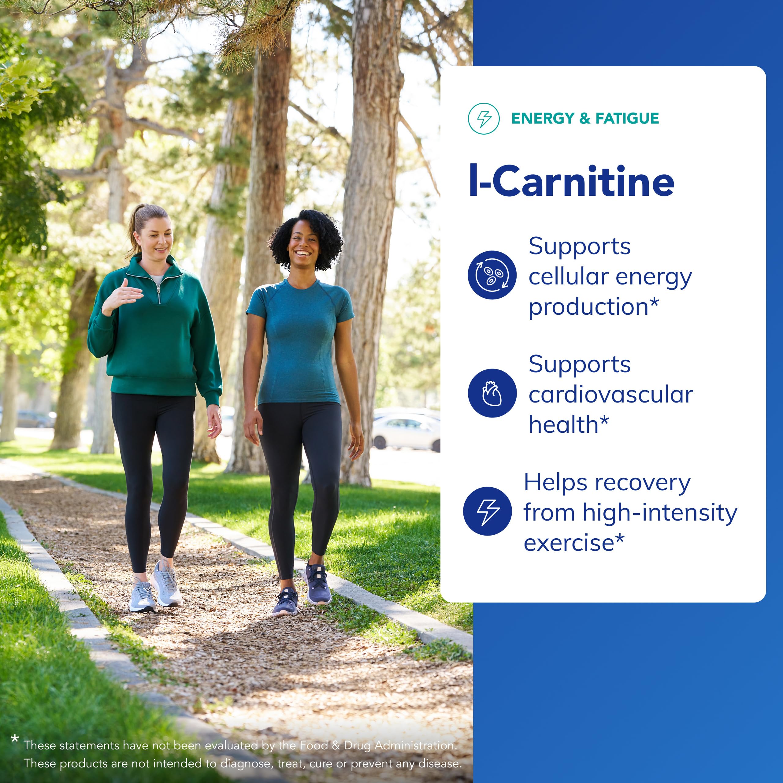 Pure L-Carnitine 60 Capsules