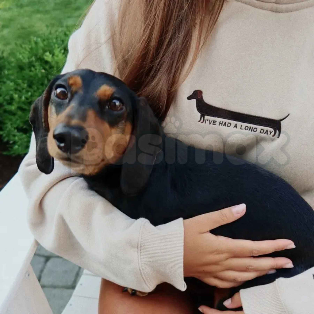 "I've Had A Long Day" Embroidered Unisex Hoodie – Premium Heavy Blend Cozy Loungewear