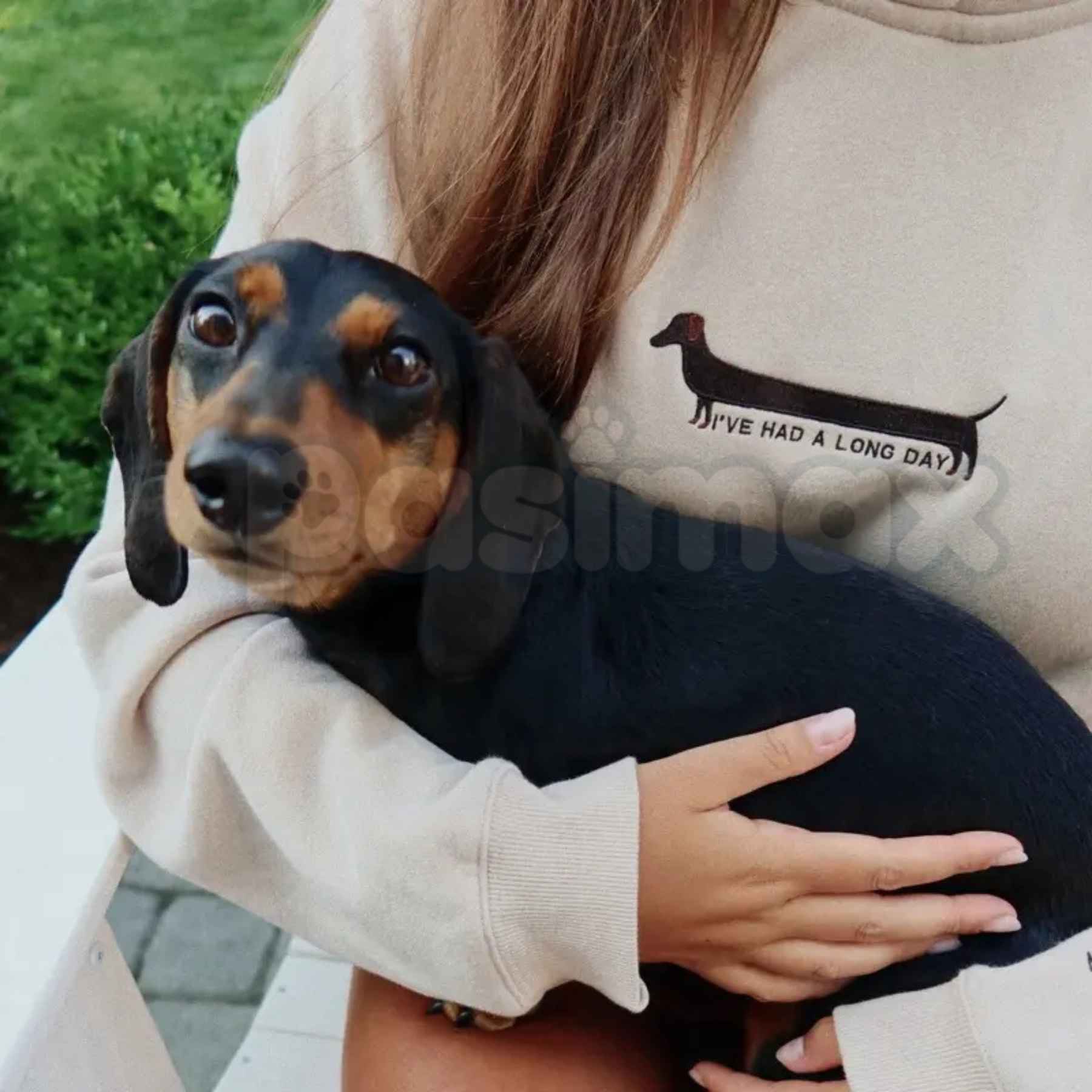 "I've Had A Long Day" Embroidered Unisex Hoodie – Premium Heavy Blend Cozy Loungewear