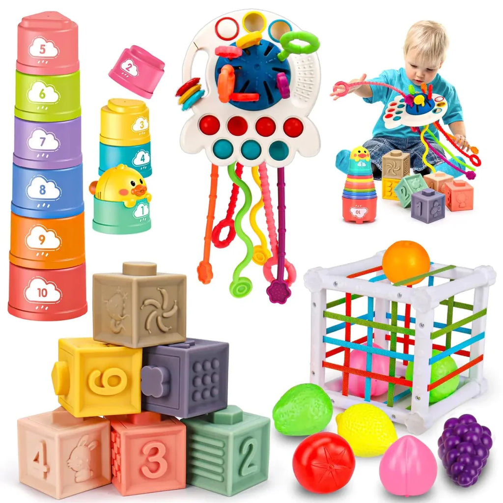 Montessori Infant Development Toy Set 6-12 M+