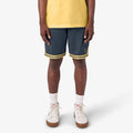 Dickies Skateboarding Guy Mariano Mesh Shorts - Dark Navy by Skates USA