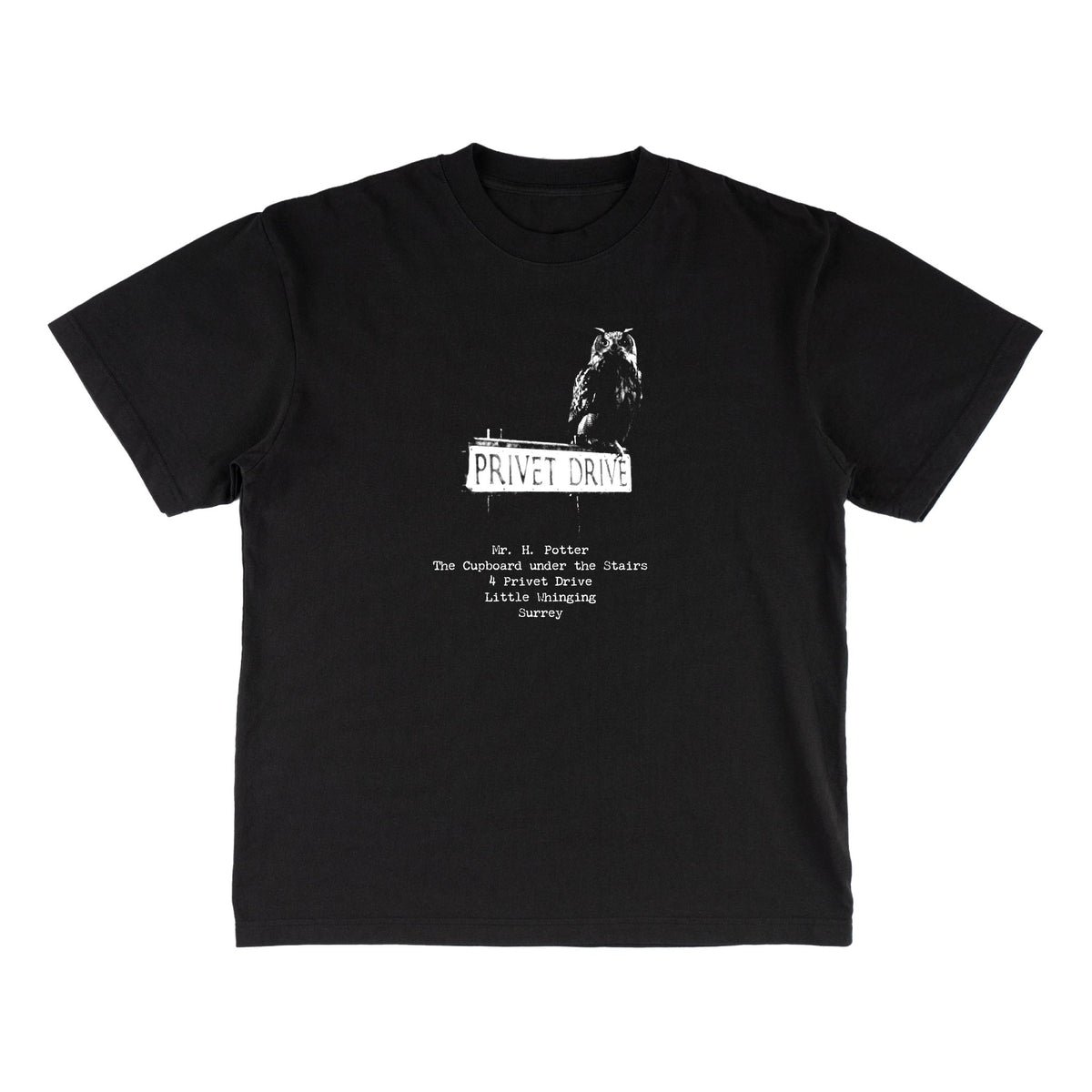 Welcome x Harry Potter Acceptance Boxy Garment-Dyed Tee - Black by Skates USA