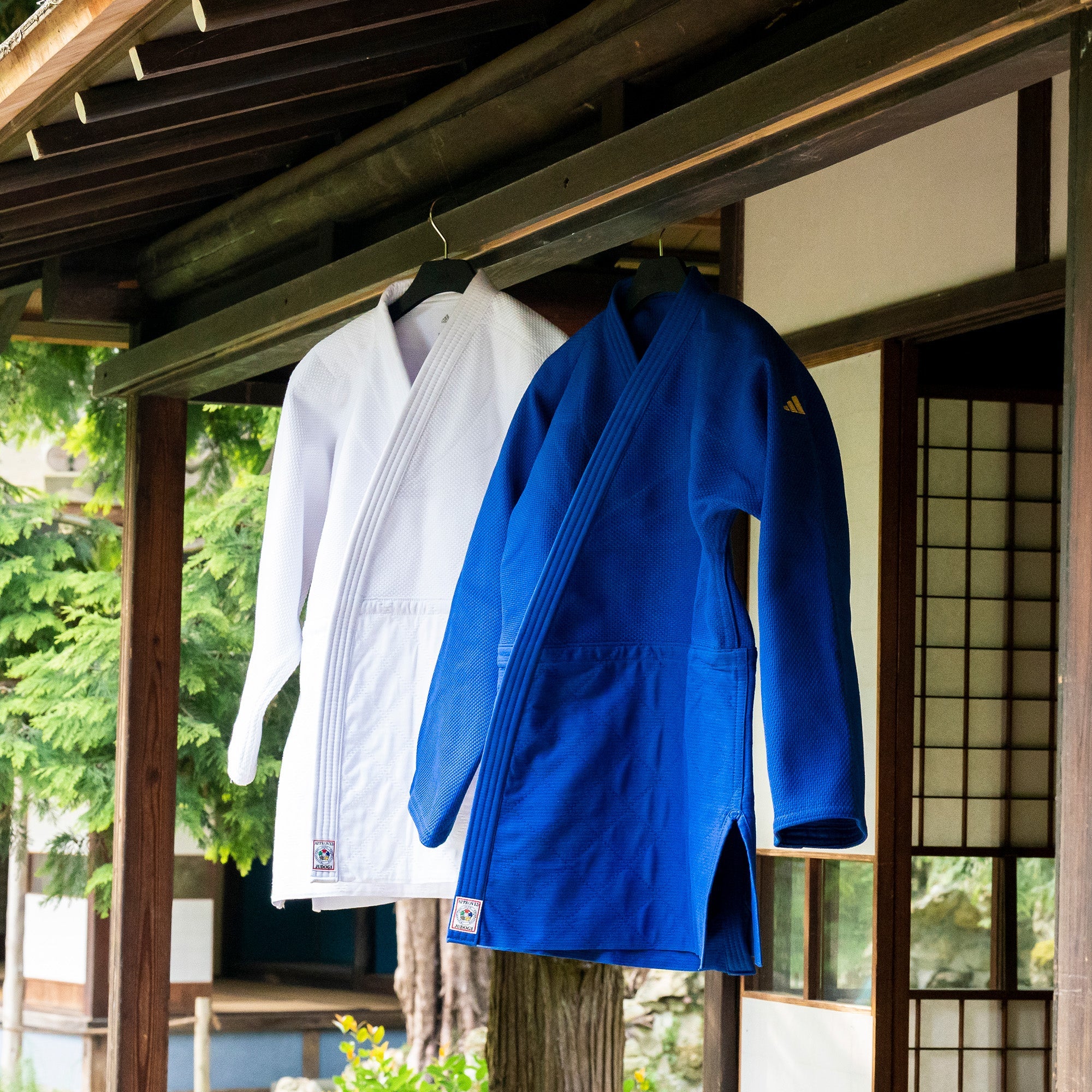 Judo Gear USA IJF Champion 3 Slim Fit with Gold Logo — lifestyle context
