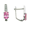 BodyCandy 14k White Gold CZ October Birthstone Leverback Earrings — main product shot