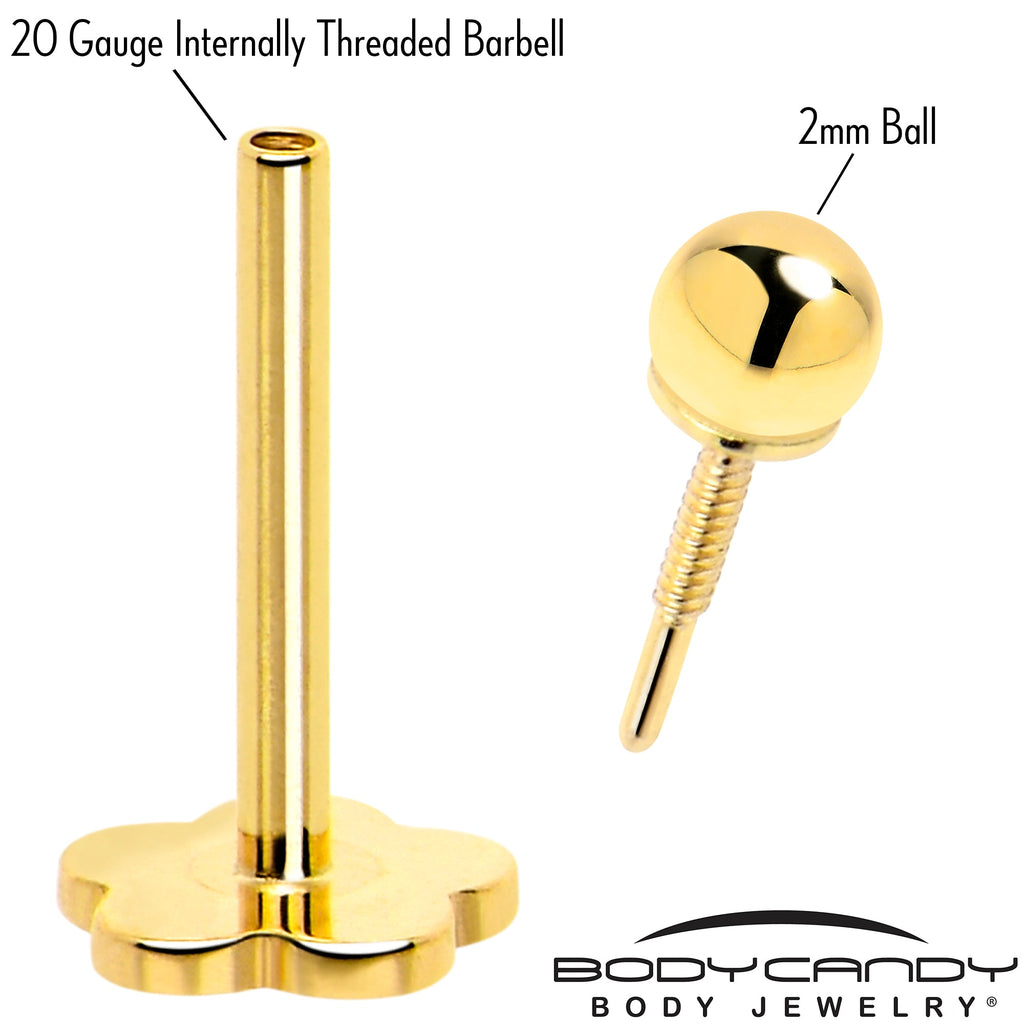BodyCandy 14k Yellow Gold Flat Back Earring 20G 2mm Ball Floral Reversible — detail close-up
