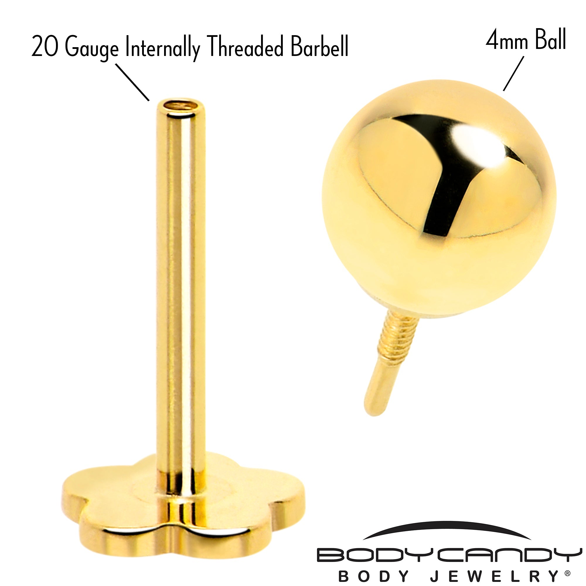 BodyCandy 14k Yellow Gold Flat Back Earring 20G 4mm Ball Floral Reversible — detail close-up