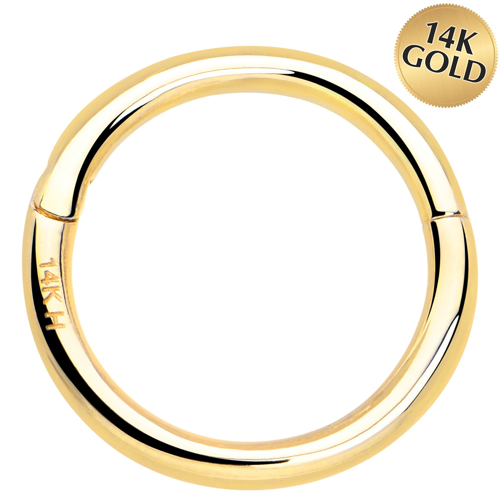 BodyCandy 14k Solid Yellow Gold Hinged Segment Ring Elegance 18G 5/16 — main product shot