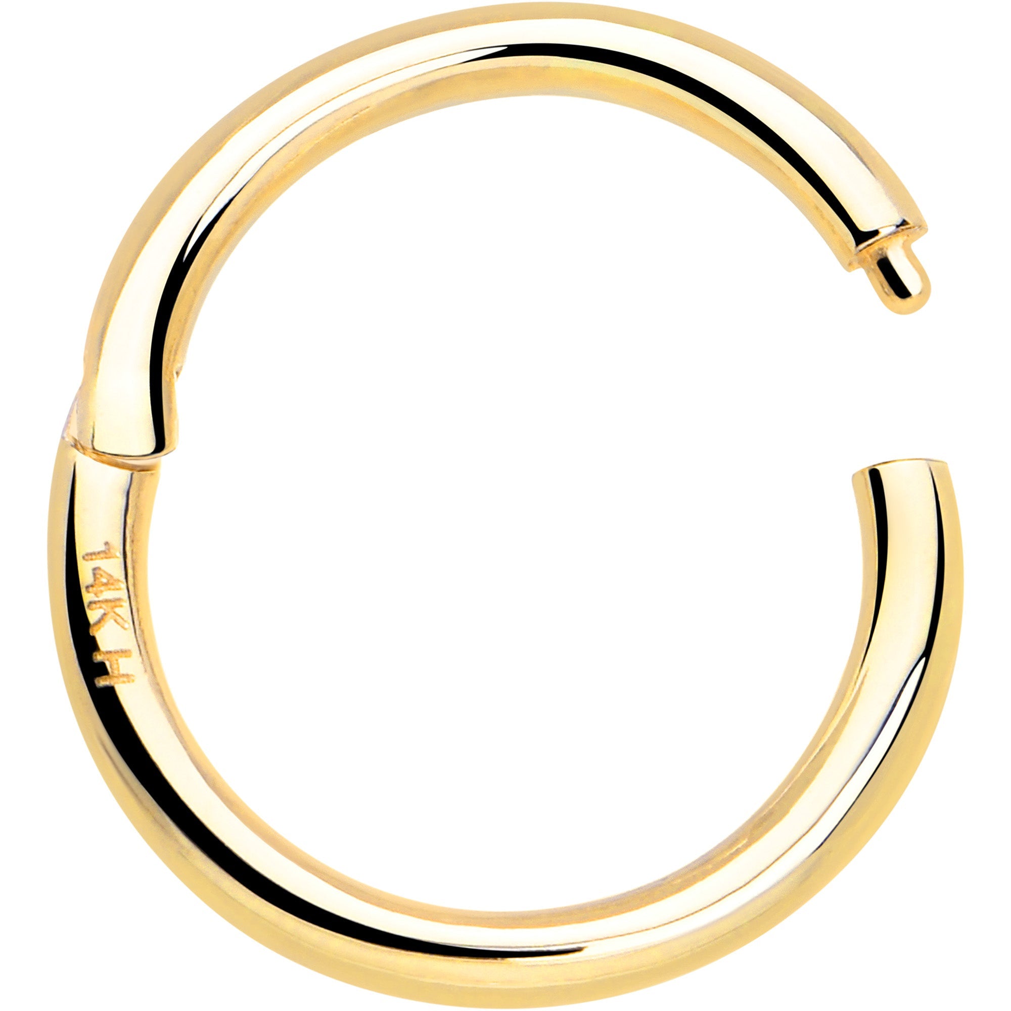 BodyCandy 14k Solid Yellow Gold Hinged Segment Ring Elegance 18G 5/16 — lifestyle context