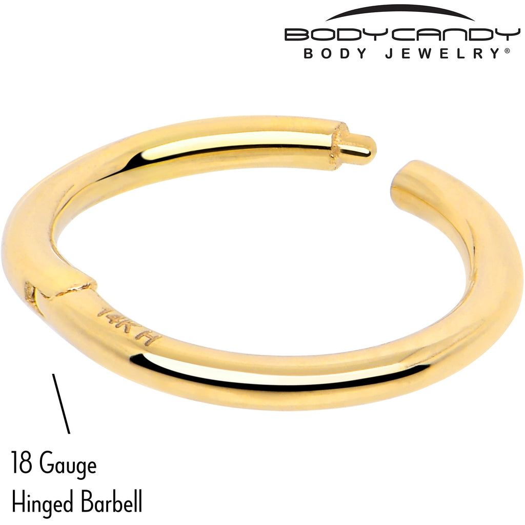 BodyCandy 14k Solid Yellow Gold Hinged Segment Ring Elegance 18G 5/16 — side view