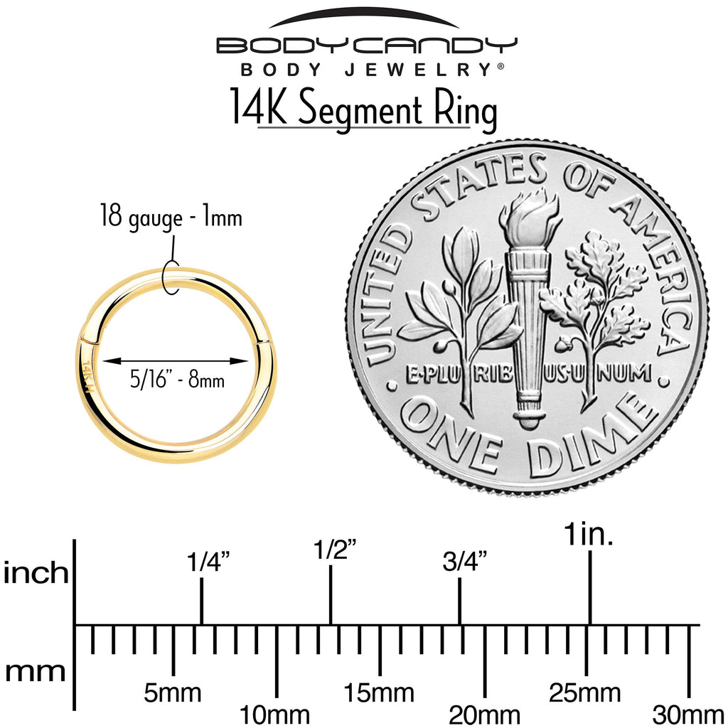 BodyCandy 14k Solid Yellow Gold Hinged Segment Ring Elegance 18G 5/16 — detail close-up