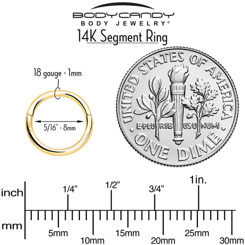 BodyCandy 14k Solid Yellow Gold Hinged Segment Ring Elegance 18G 5/16 — detail close-up
