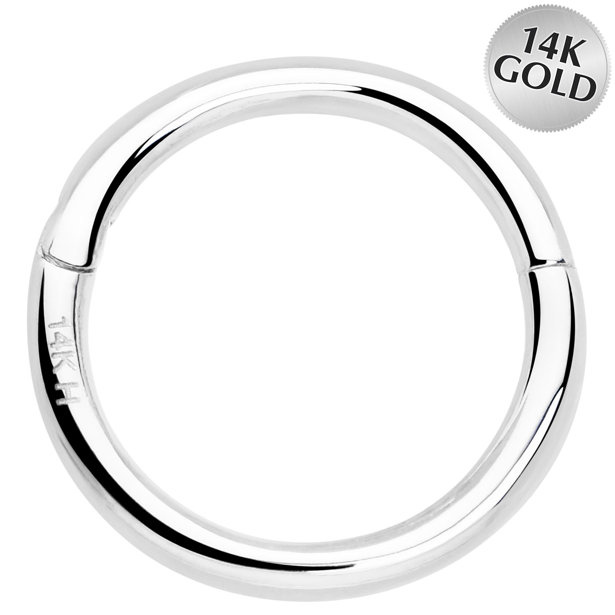 BodyCandy 14k Solid White Gold Hinged Segment Ring Elegance 18G 5/16 — main product shot