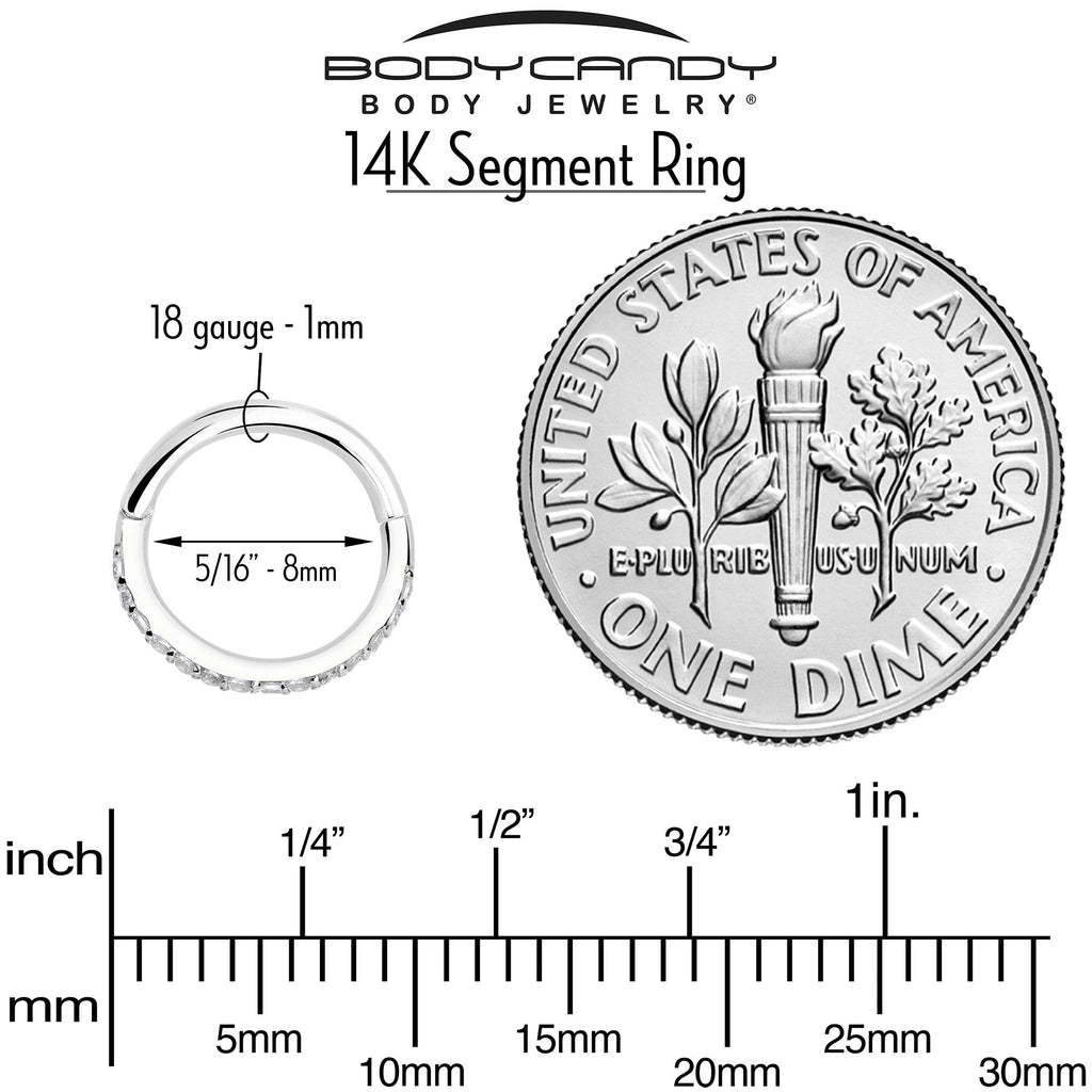 BodyCandy 14k Solid White Gold Hinged Segment Ring Forward Facing CZ 18G 5/16 — lifestyle context