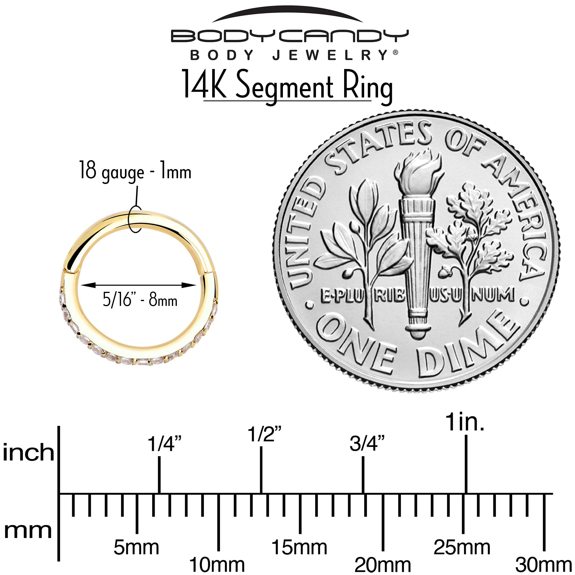 BodyCandy 14k Solid Yellow Gold Hinged Segment Ring Forward Facing CZ 18G 5/16 — alternative angle