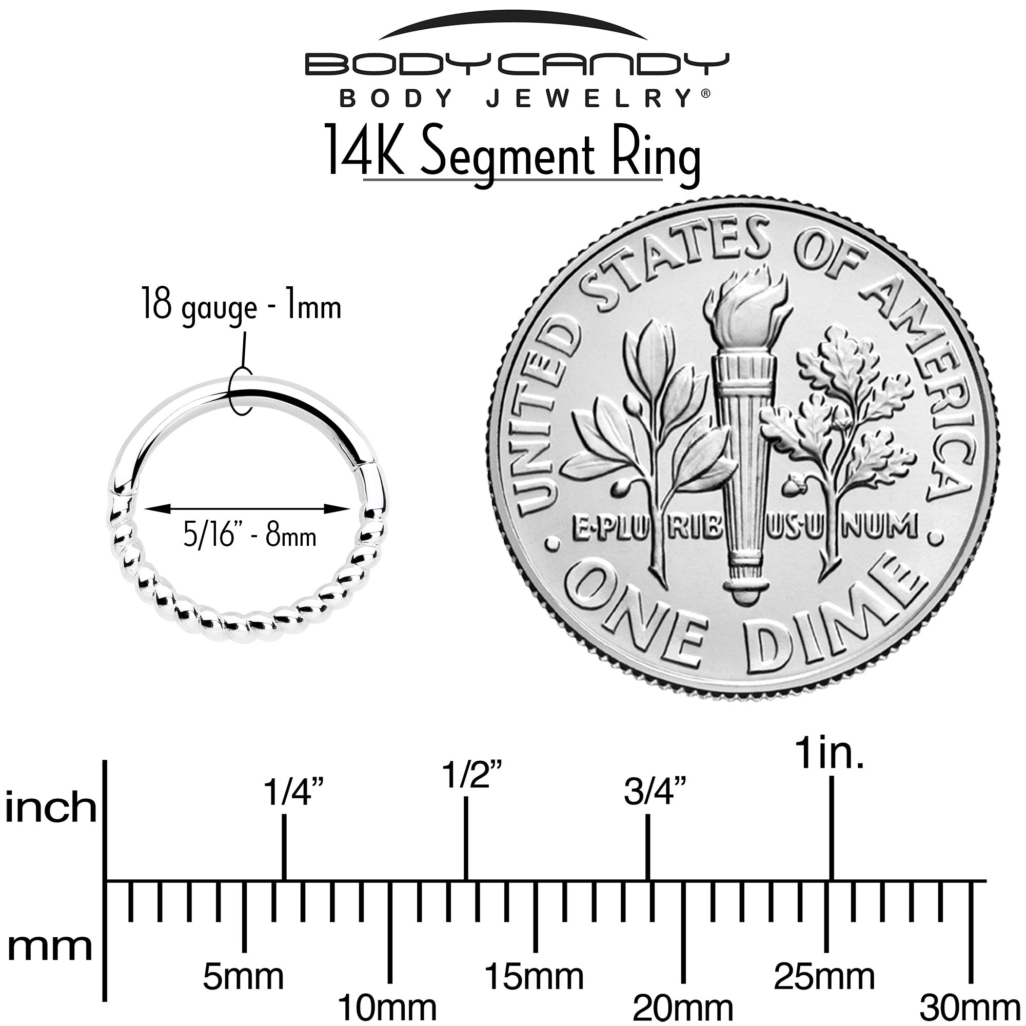 BodyCandy 14k Solid White Gold Hinged Segment Ring Forward Facing Twisted 18G 5/16 — alternative angle