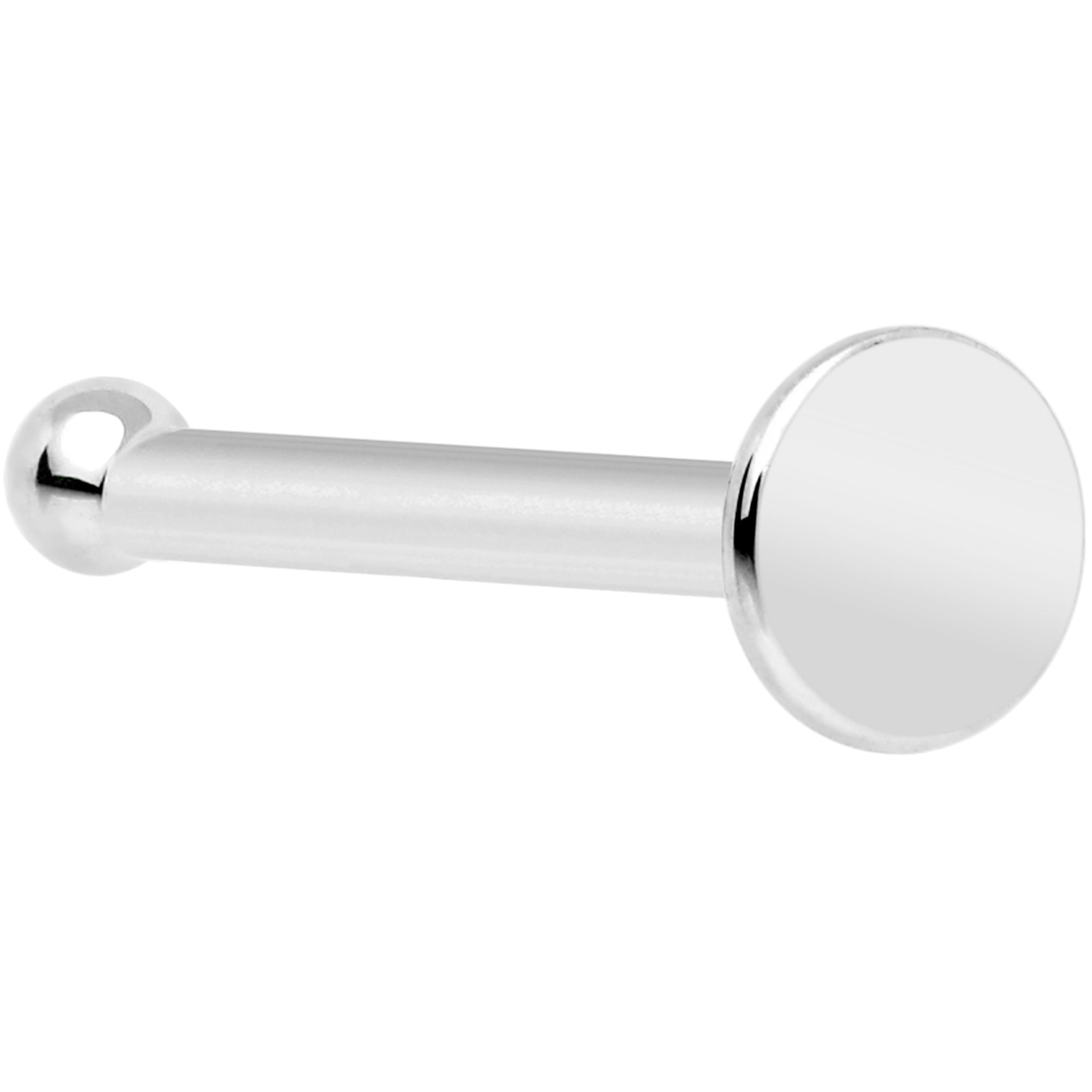 BodyCandy Solid 14K White Gold Flat Disc Nose Bone — detail close-up