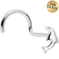 BodyCandy Solid 14K White Gold Dolphin Nose Screw Ring — main product shot